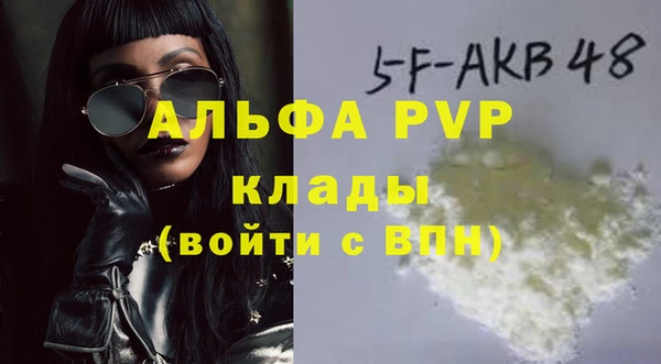 соль ск Дмитриев