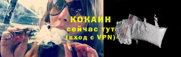 apvp Гусев