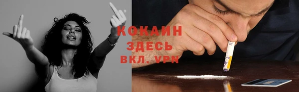 соль ск Дмитриев