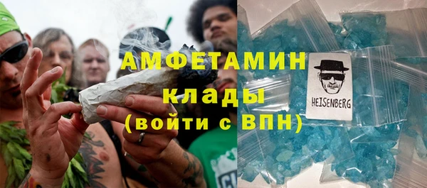 соль ск Дмитриев