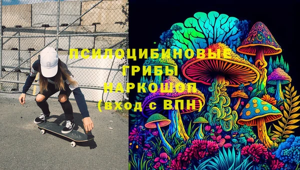 соль ск Дмитриев