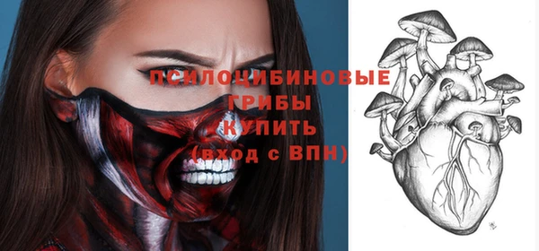 дурь Дмитров