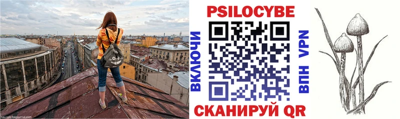 Псилоцибиновые грибы Magic Shrooms  Купить  Кологрив 